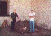 Bil with burls