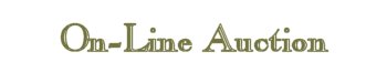 On-Line Auction Company