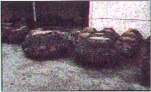 Trimmed Burls
